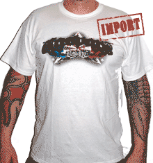 STAR AND SWALLOWS (WHITE)