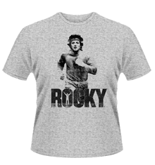ROCKY TRAINING