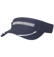 LOGO VISOR
