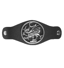 DRAGON WB