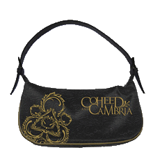 HANDBAG