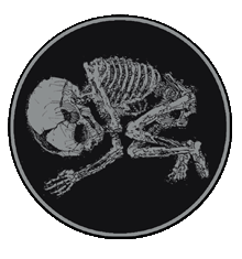 FOETUS LOGO WP