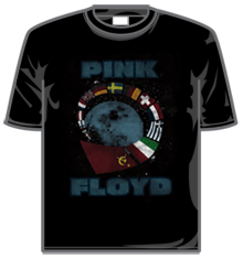 MOMENTARY LAPSE