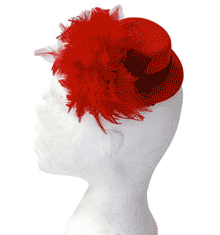 RED FEATHER MINI