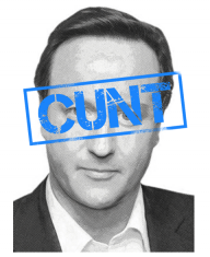 David Cameron the C#*t